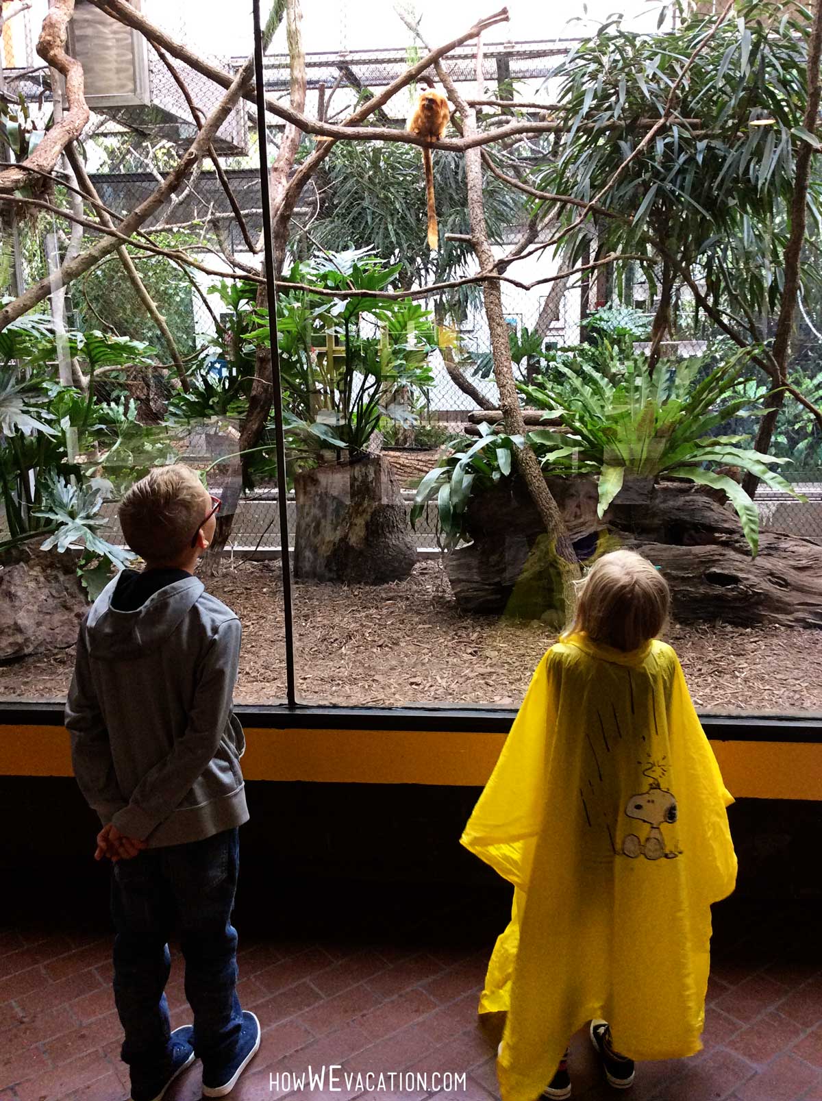 kids at national zoo